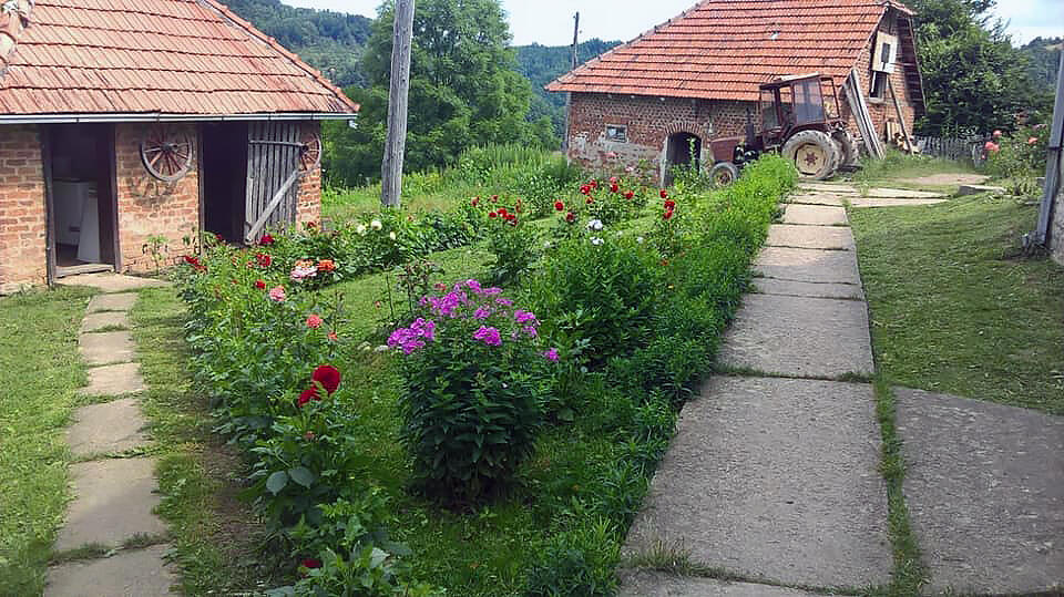 Zemlja Majka